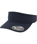 110 visor (8110)