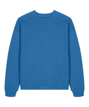 Radder 2.0 (STSU208)