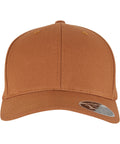 110 Flexfit curved snapback (9293)