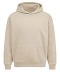 AM201 | Anthem heavy bass hoodie | Anthem